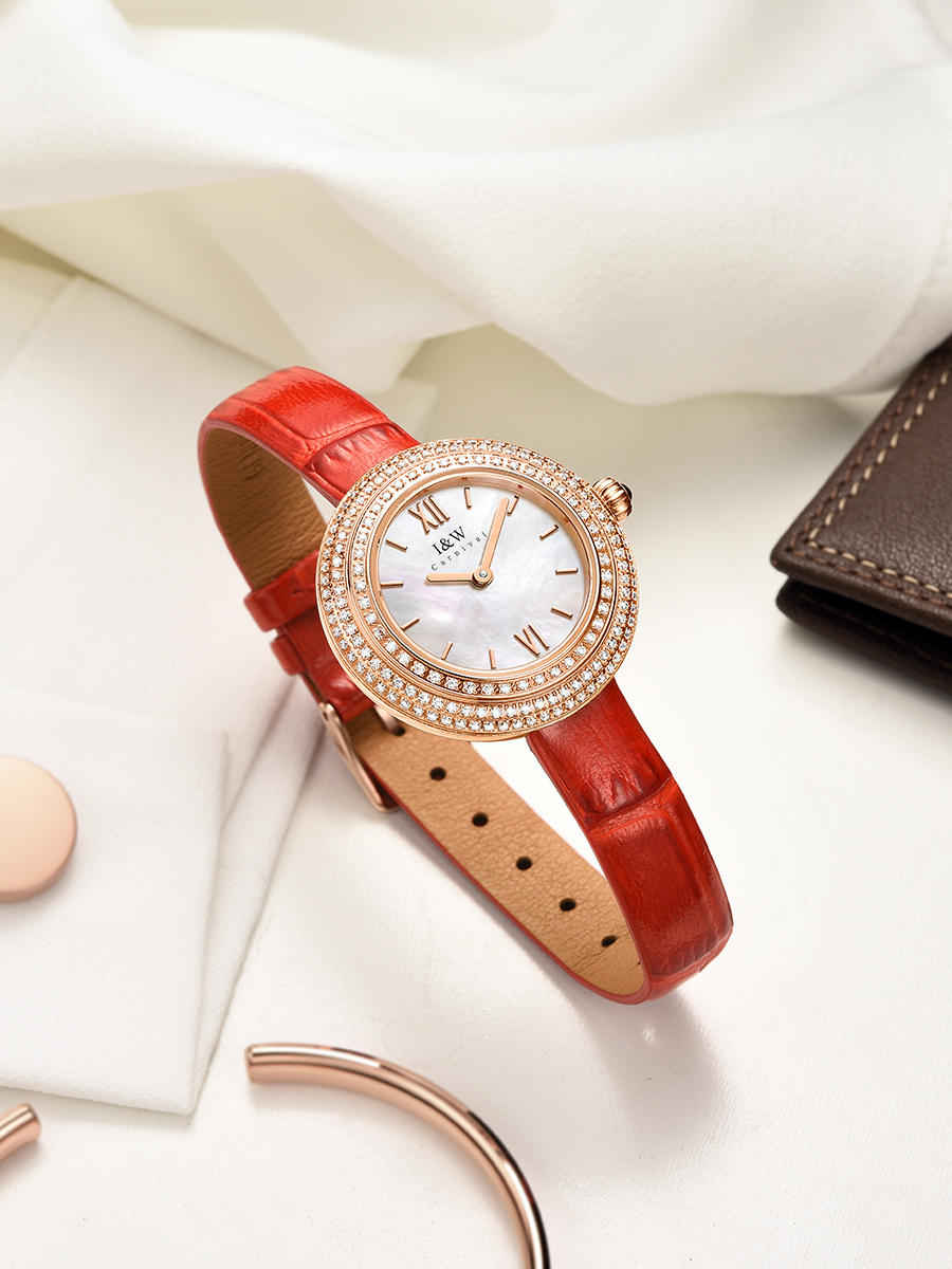 Switzerland Luxury Brand I&W C - Luxury Watch Japan Brand recensione e prezzo