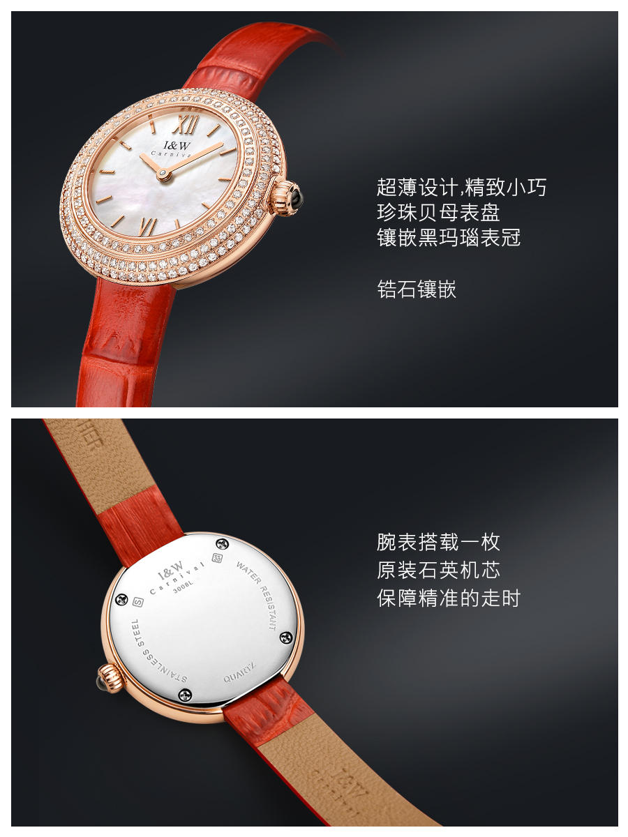 Switzerland Luxury Brand I&W C - Luxury Watch Japan Brand recensione e prezzo